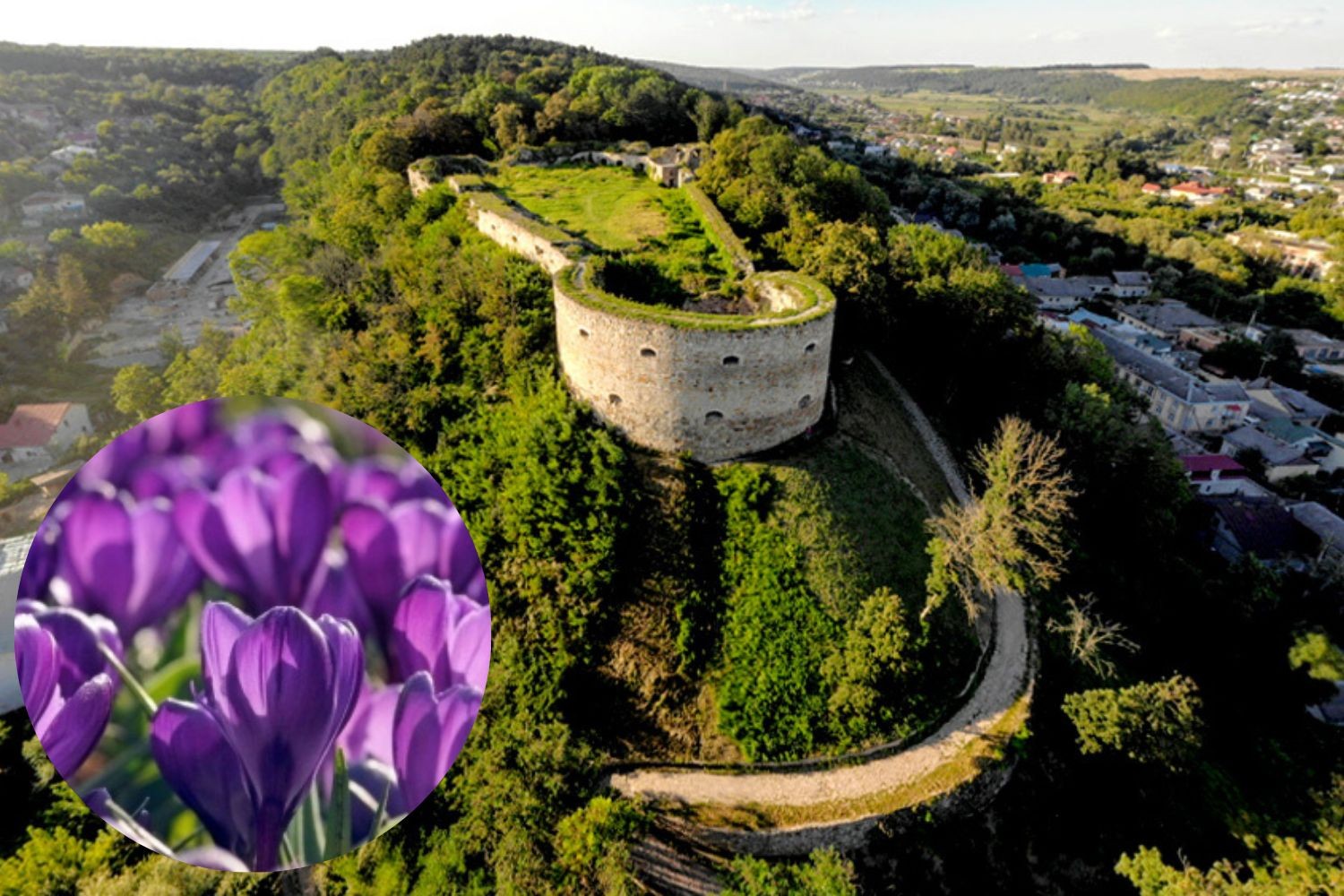 Подільський кайф: 5 замків, вино, SPA + долина крокусів Подільський кайф: 5 замків, вино, SPA + долина крокусів